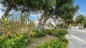 A landscaped area with a cactus, various shrubs, and a paved walkway leading to a gated entrance. - Beautiful Holiday Home With Private Pool (Rhodes)