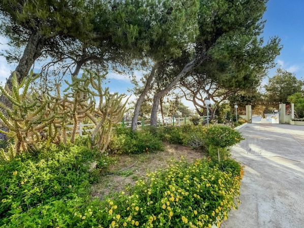 A landscaped area with a cactus, various shrubs, and a paved walkway leading to a gated entrance.