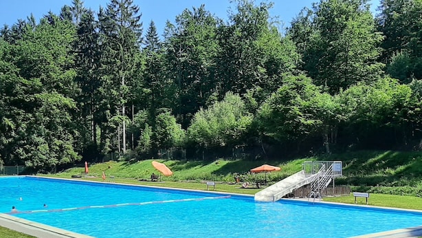 A swimming pool with a slide, surrounded by grass and trees. - Cosy Holiday Home Near the ski Lift (Grossbreitenbach)