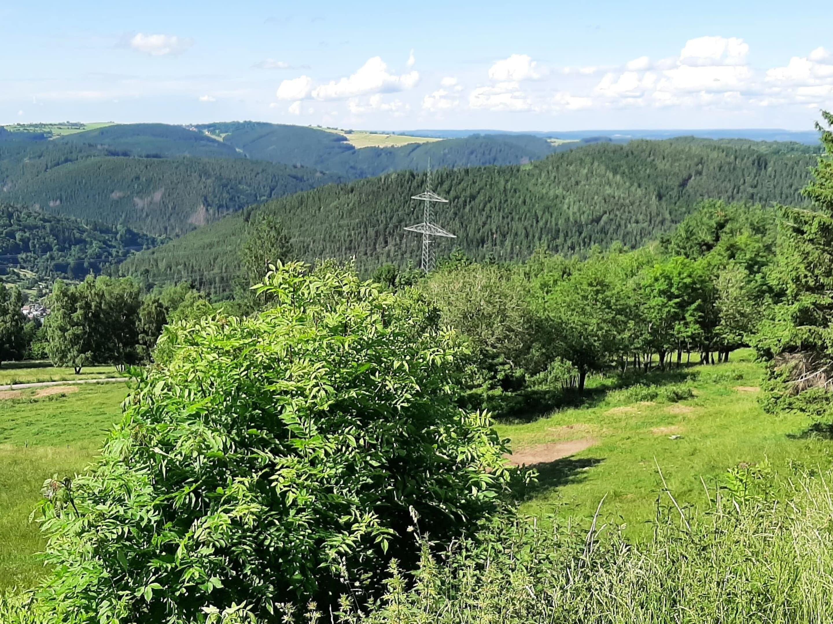 Un paisaje exuberante y verde con una torre de líneas eléctricas, colinas ondulantes y un cielo despejado.