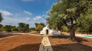 A rustic stone pathway leading to a white building surrounded by olive trees.
