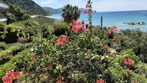 A garden with pink flowers, a view of the sea, and a mountain in the background. - Amazing Apartment in Mpenitses With Terrace (Corfu)