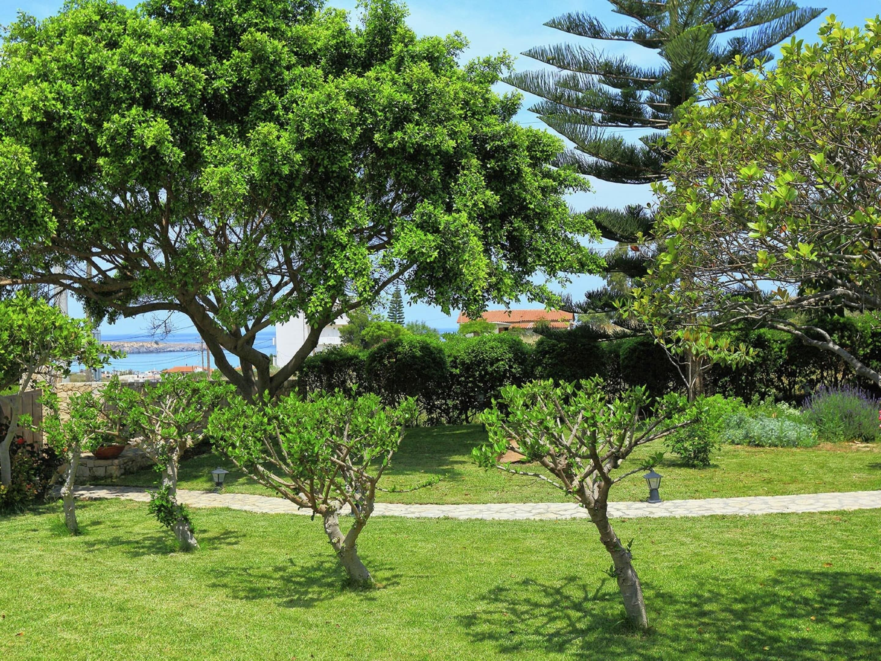 A well-maintained garden with various trees and a clear view of the sea in the background.