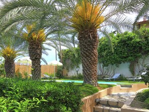 A poolside area with palm trees, a stone wall, and a view of a swimming pool.