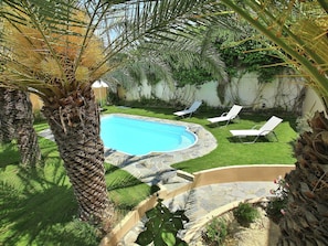 A swimming pool with a stone border, surrounded by grass and palm trees.
