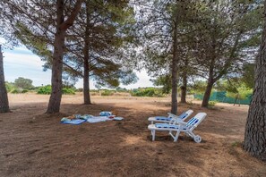 Apartment | 2 Schlafzimmer