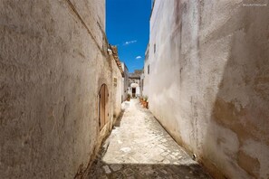 6 bedrooms - 2773 Barbarhouse - Villa Charita (Castrignano del Capo)