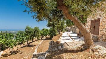 Apartment | 2 Schlafzimmer