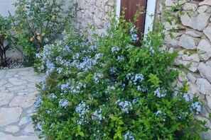 Exterior - Home With Swimming Pool & Outdoor Kitchen (Nin)