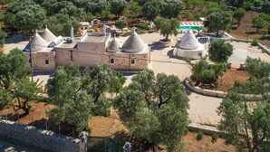 A traditional village with stone buildings, olive trees, and a swimming pool. - 737 Trulli con Piscina ad Ostuni (Ostuni)