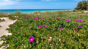 A beach with green vegetation and purple flowers, and a clear blue sky. - 1720 Casa Jonica in San Pietro in Bevagna (Manduria)