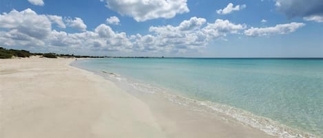 Apartment | 2 Schlafzimmer