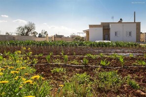 Appartamento | 2 camere