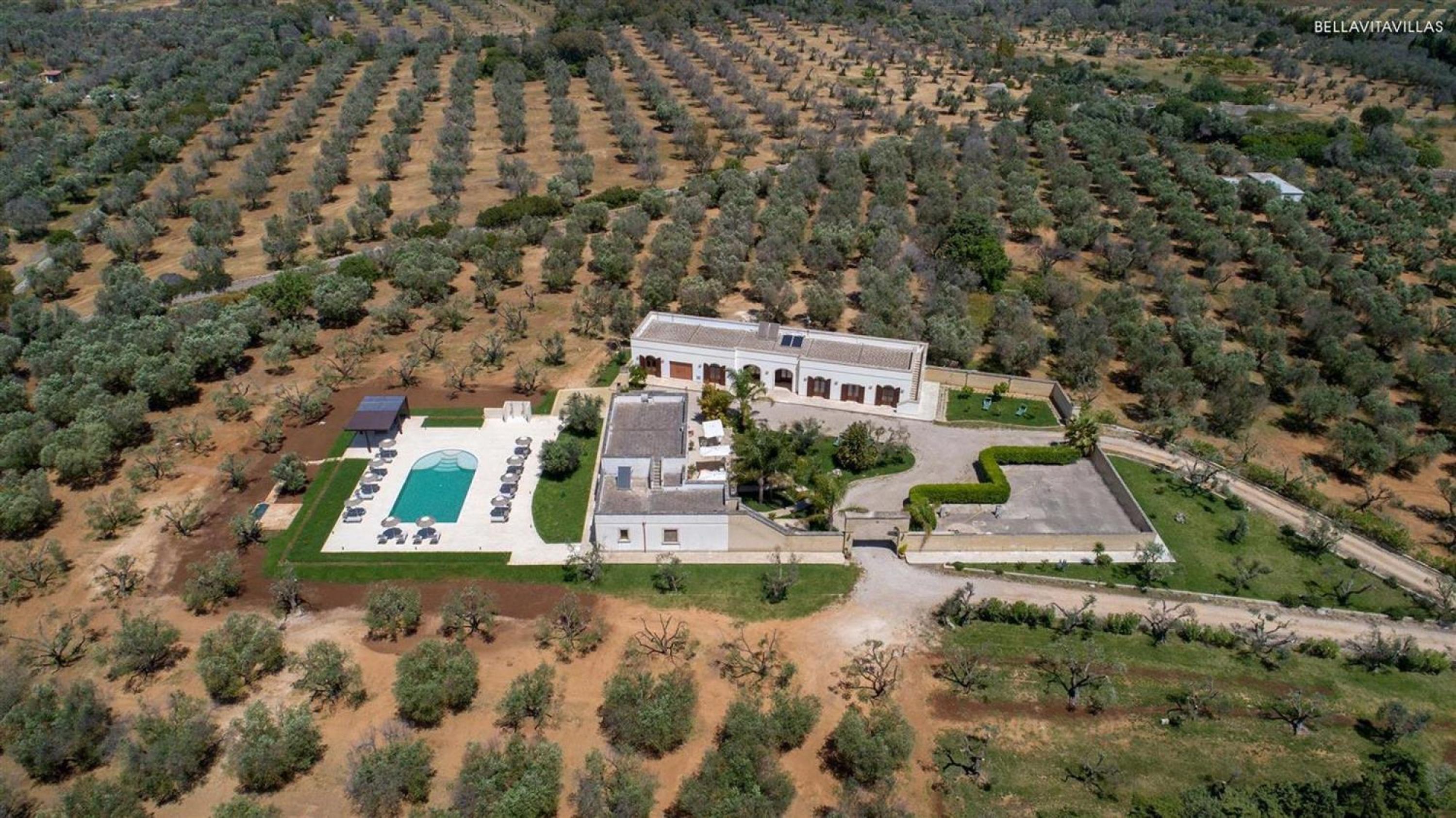 An aerial view of a property with a large house, a swimming pool, and olive groves.