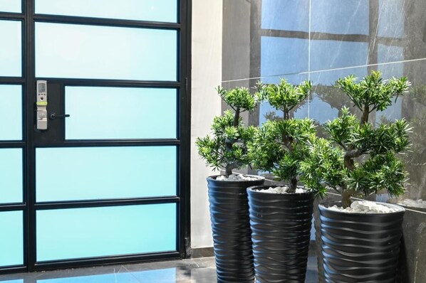 منطقة الاستقبال