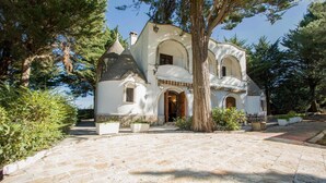 A white building with a large tree in front, stone pathway, and arched windows. - 751 Trullo con Piscina e Pineta a Locorotondo (Locorotondo)
