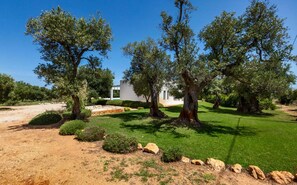 Villa | 3 bedrooms - 1724 Villa Zena in Carovigno (Carovigno)