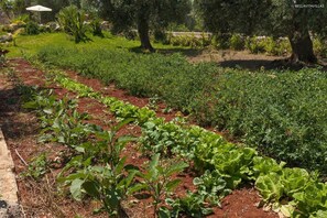 アパートメント | 2 室のベッドルーム