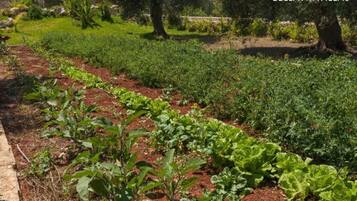 Appartement | 2 chambres