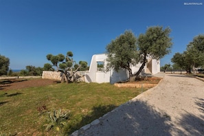Apartment - 1556 Villa Specchia in Carovigno (Carovigno)