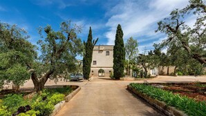 Un camino pavimentado que conduce a un edificio de fachada de piedra, rodeado de follaje y árboles altos.