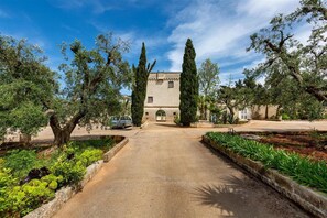 A paved pathway leading to a building with a stone facade, surrounded by greenery and tall trees.