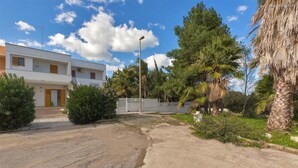 Zona residencial con un edificio blanco, camino pavimentado y vegetación circundante, incluyendo palmeras y arbustos.