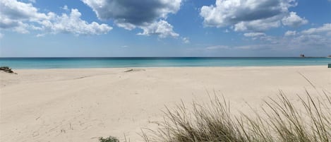 อพาร์ทเมนท์ | 2 ห้องนอน