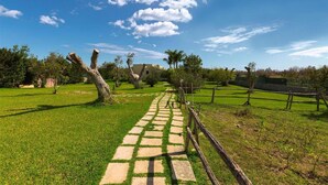 A stone pathway leading through a grassy area with a fence and trees, under a clear blue sky. - 1738 Tenuta Degli Ulivi (Melendugno)