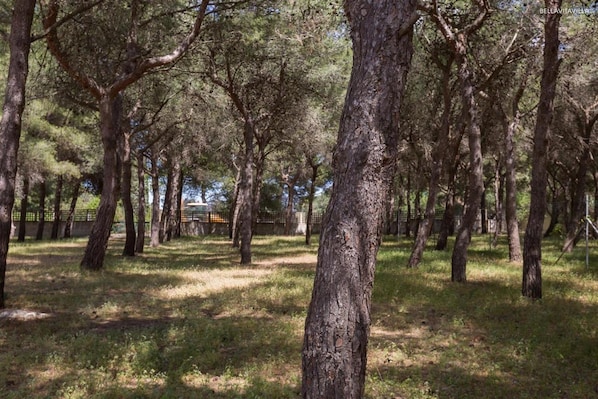 Villa | 2 habitaciones 