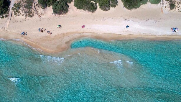 An aerial view of a beach with clear turquoise water, sandy shore, and sparse vegetation. - 2064 Villa Stella Blu by Barbarhouse (Manduria)