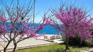 Appartamento | 1 camera