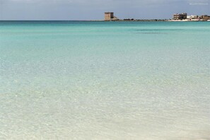 Apartamento | 2 quartos