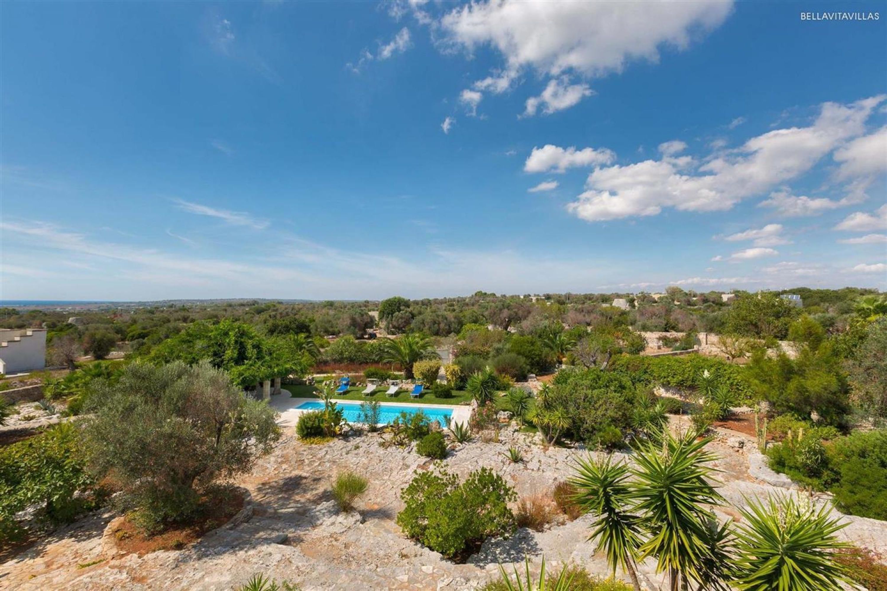 A residential area with a pool, trees, and a clear sky.