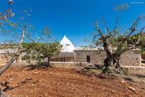 House | 3 bedrooms - 2422 Il Trullo di Erna by Barbarhouse (Ostuni)
