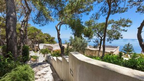 A coastal pathway with steps leading to a building, surrounded by trees and overlooking the sea.
