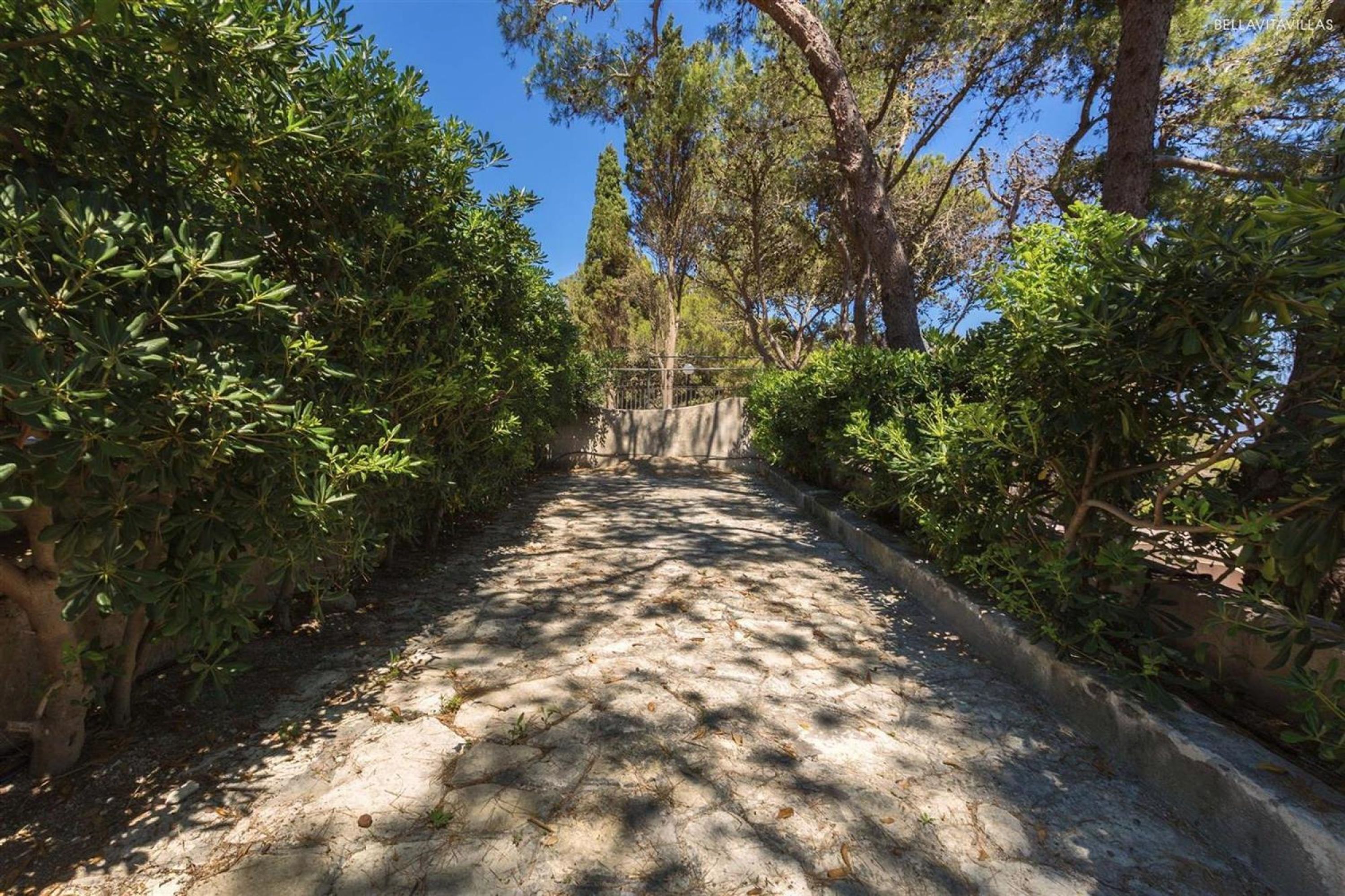 A paved pathway flanked by dense foliage and trees, leading towards a distant structure.