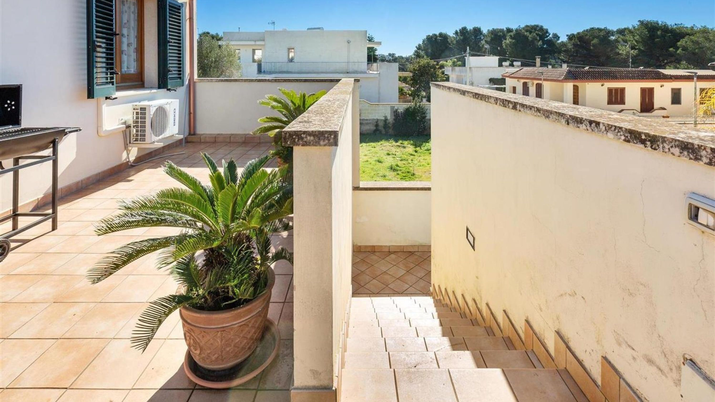 Una terrazza sul tetto con una palma in vaso, una scala e vista sugli edifici vicini.