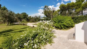 A landscaped garden with a paved pathway, trees, and a white building.