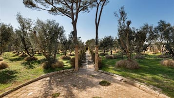 Apartment | 4 Schlafzimmer