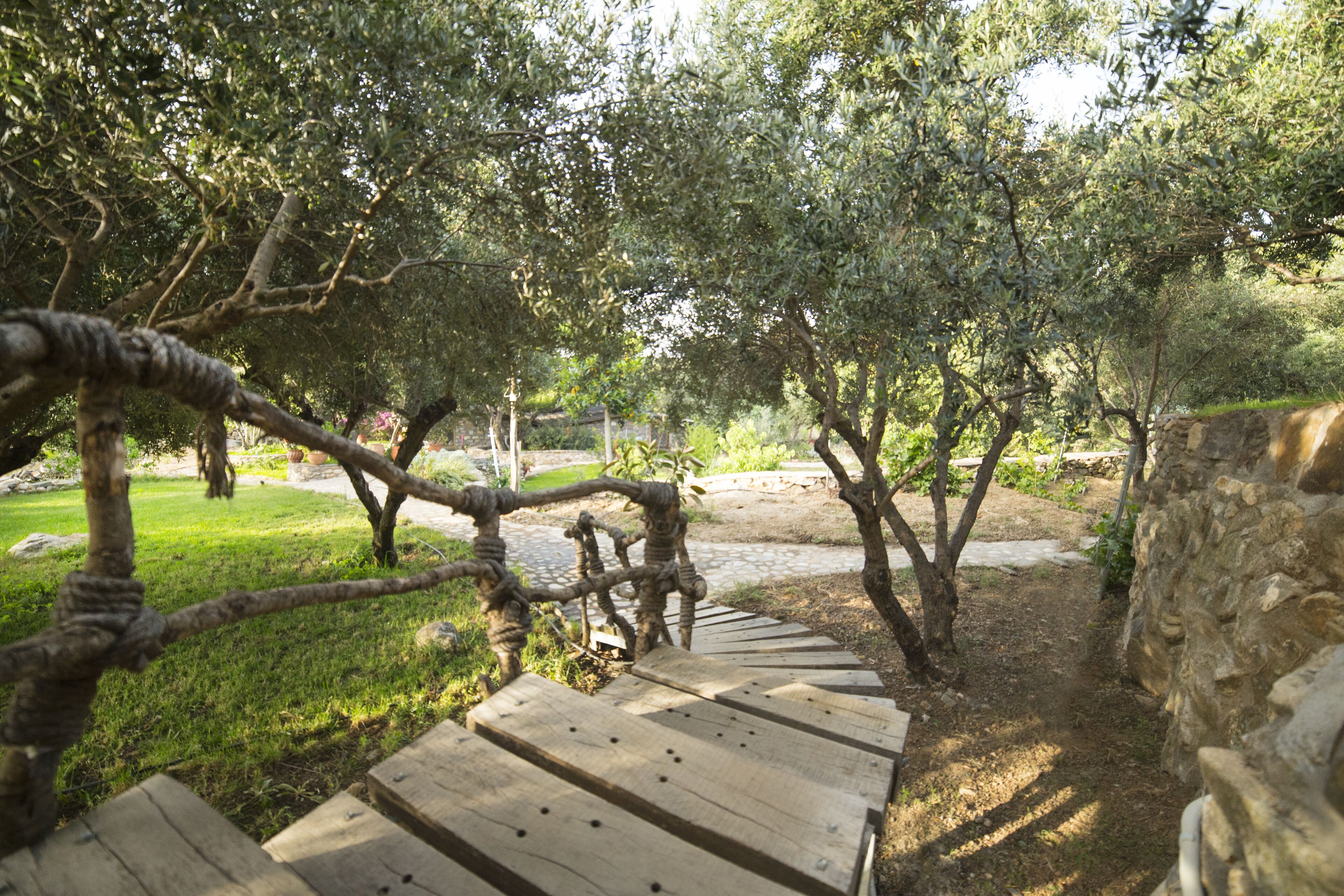 A wooden staircase leading up to a stone wall, surrounded by olive trees and greenery.