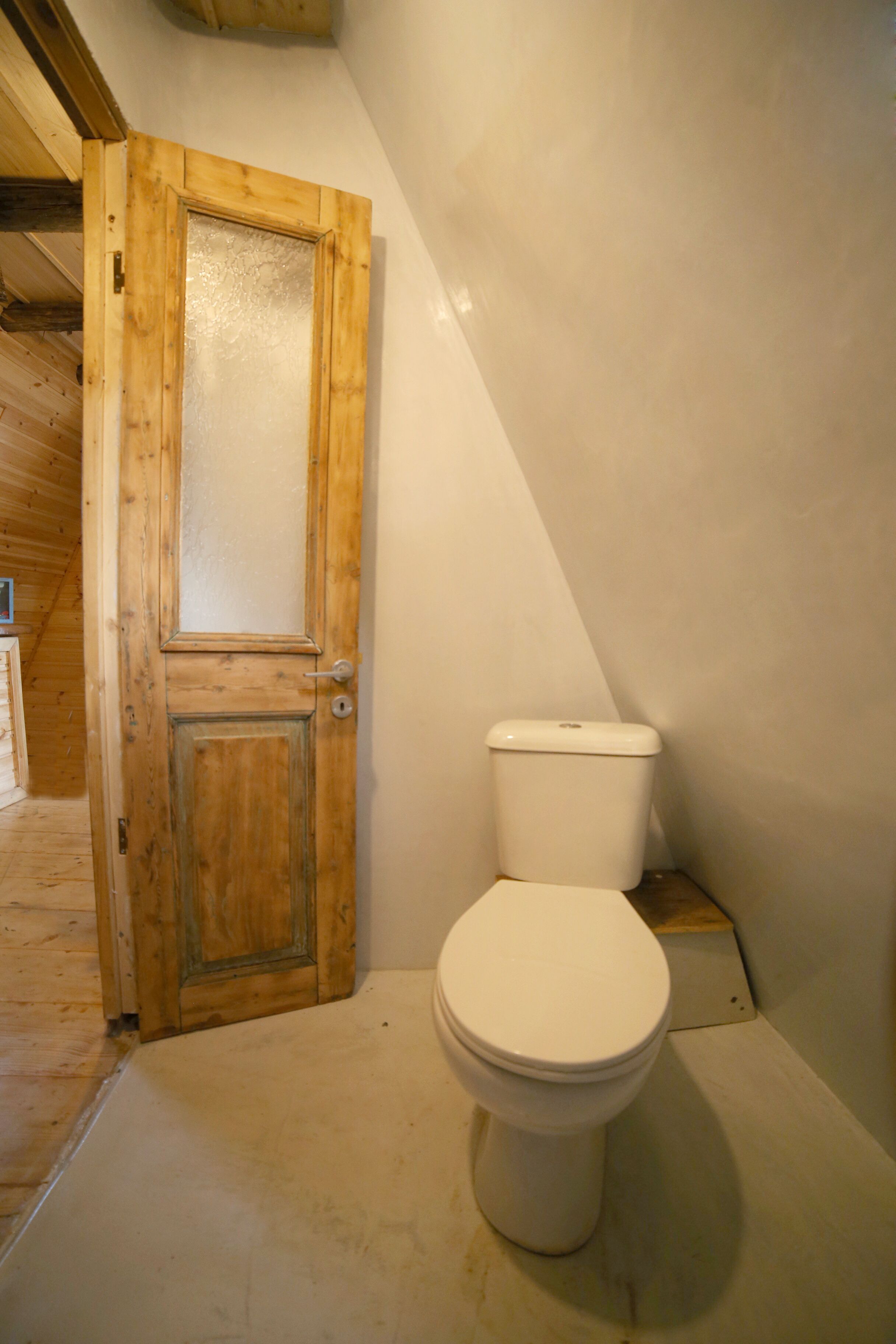 A wooden door with a frosted glass panel, a white toilet, and a wooden floor.