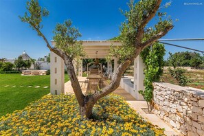 Un árbol en un jardín con una pérgola y zona de estar al aire libre.