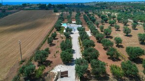 An aerial view of a property with a central building surrounded by olive groves, a fenced field to the left, and a road leading to the entrance. - 496 La Serrazza in Pescoluse Posto Vecchio (Salve)