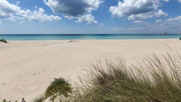 A beach with clear skies and calm waters.