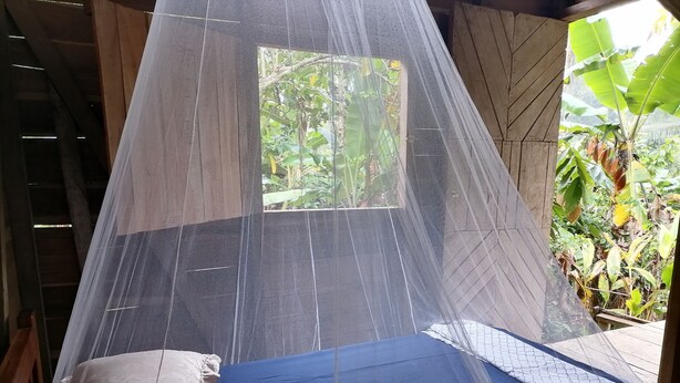A bed with a blue mattress and white pillow, covered by a mosquito net. - Bribri Ù sule (Bratsi)