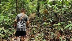 A person walking through a dense forest path. - Bribri Ù sule (Bratsi)