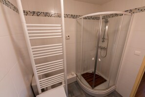 Hair dryer - Warm 29m² with balcony and lake view (Gérardmer)