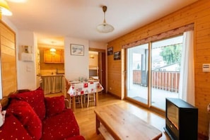 TV, fireplace - Warm 29m² with balcony and lake view (Gérardmer)