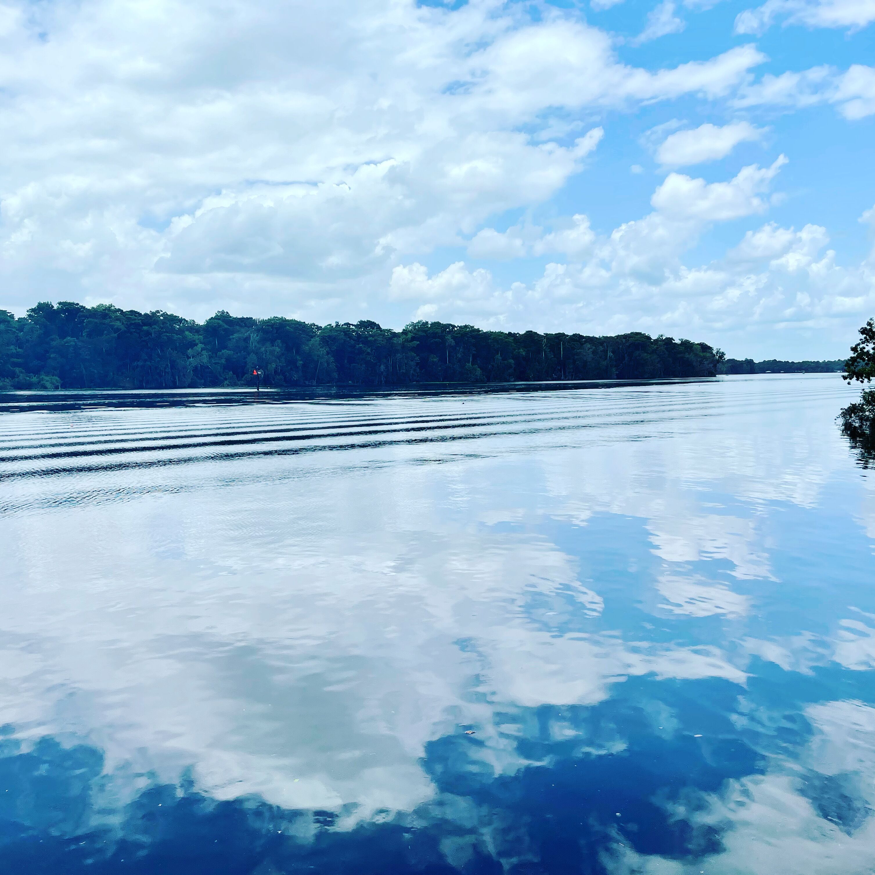 Un lago tranquilo con cielo despejado y una orilla boscosa.